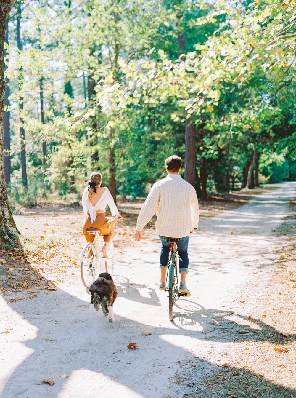 Couple riding bikes outdoors underneath an avenue of trees with their dog