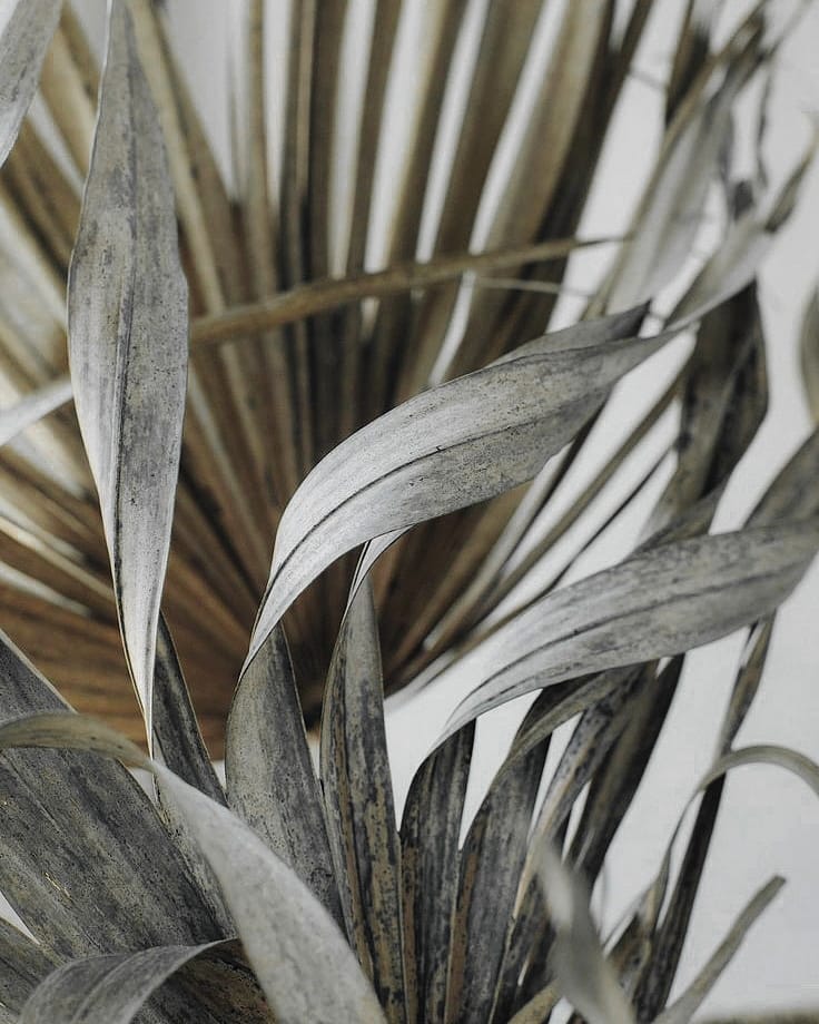 Today we're talking all about texture and design in the scope of wedding planning, and this dried palm close up is the picture perfect example of why this design element makes all the difference in the world #minimalistwedding #modernbride #weddingdesign // Willow & Oak Events
