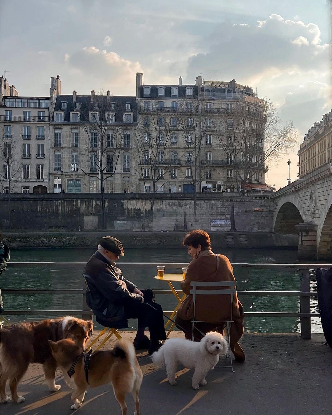 An older couple sharing drinks along the Seine while their pet greets passing dogs