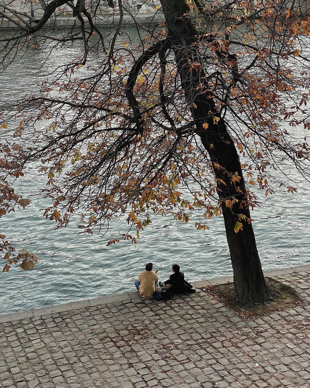 A couple shares a picnic along the Seine during fall
