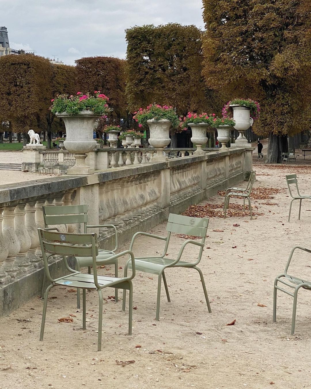 Iconic green metal chairs at Jardin du Luxembourg